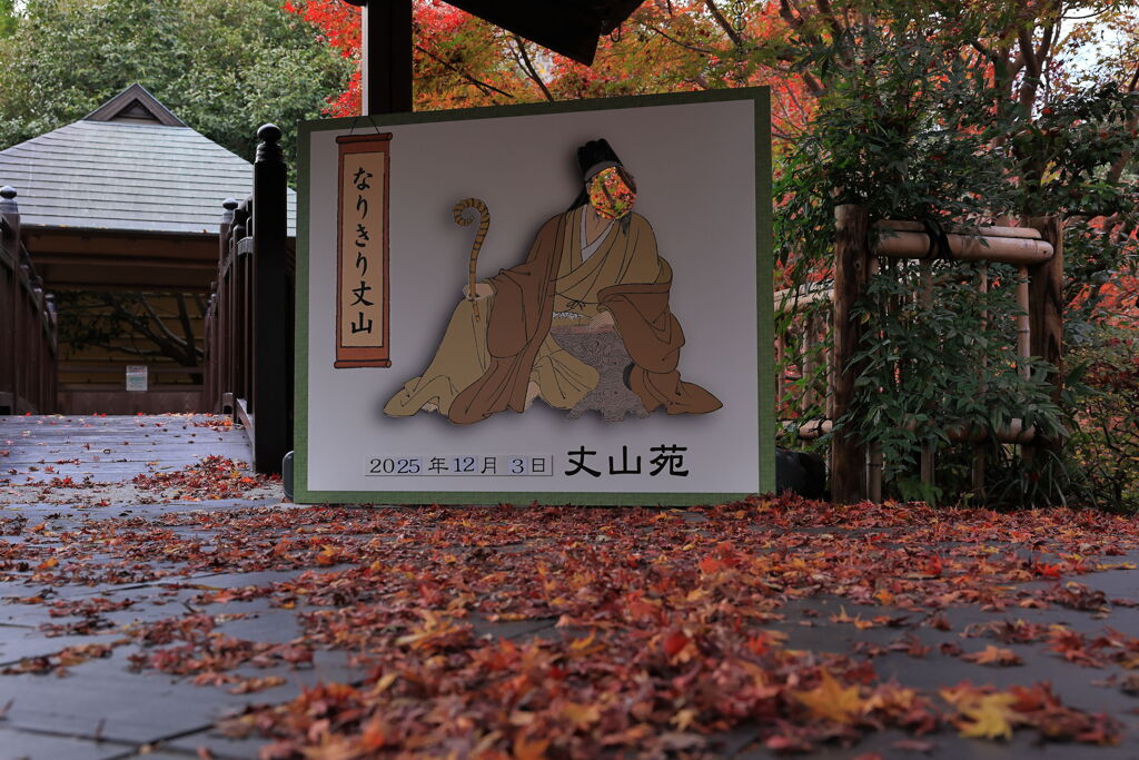 今シーズンラストの紅葉撮影＃１１