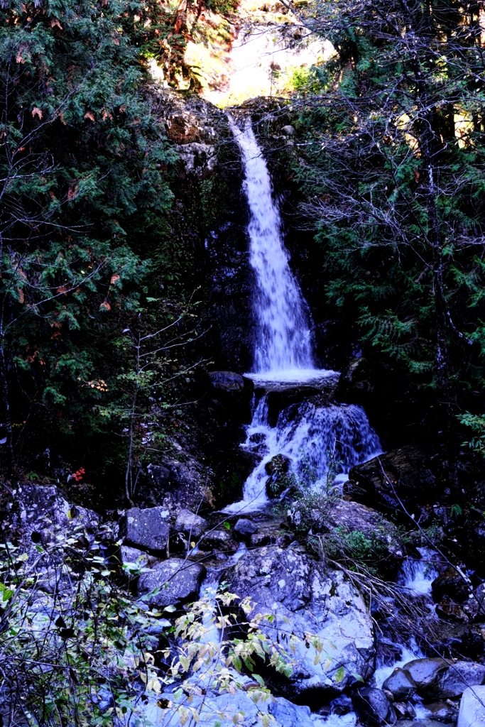 久し振りの阿寺渓谷＃３