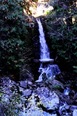 久し振りの阿寺渓谷＃３