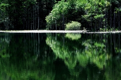 岡崎の大正池こと小呂池#6