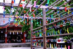 市原稲荷神社の風鈴情景#3