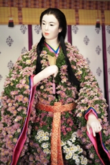 人形小路の菊まつり#3