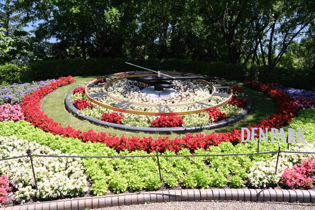 春真っ盛りデンパーク＃２