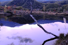 乗鞍高原で紅葉撮影＃３