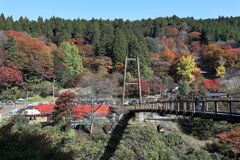 久し振りに大井平公園紅葉撮影＃８