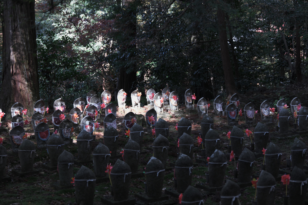 金剛輪寺の千躰地蔵＃９