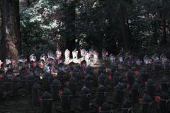 金剛輪寺の千躰地蔵＃９