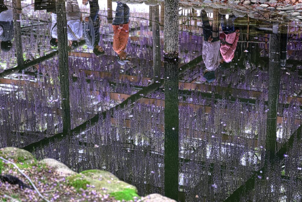 天王川・水面への映り込み＃６