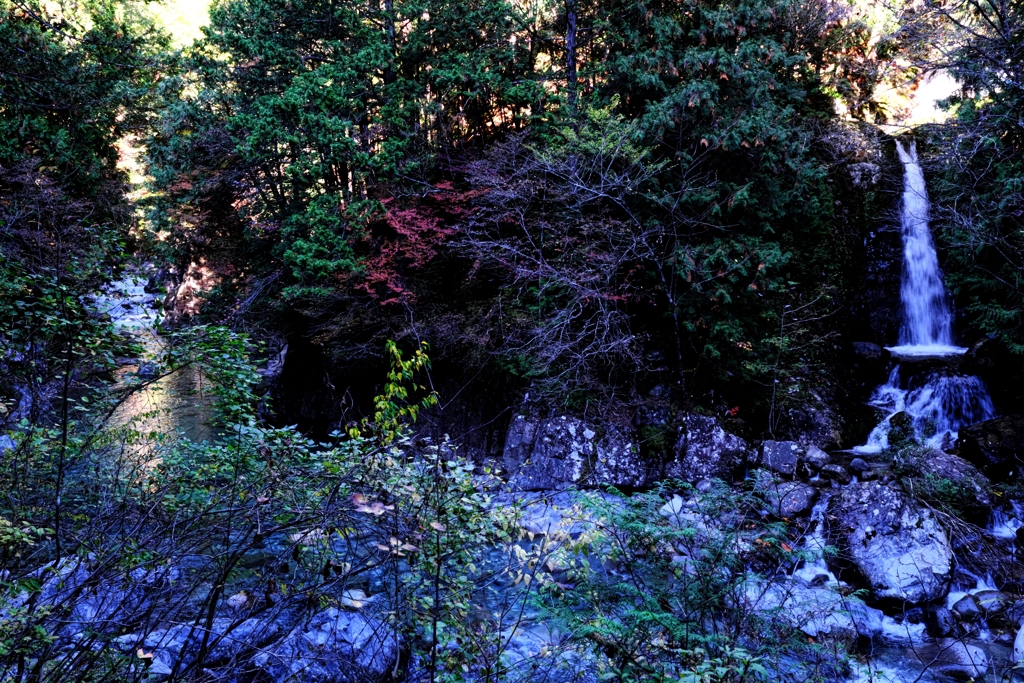 久し振りの阿寺渓谷＃４