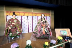 人形小路の菊まつり#1