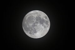 昨夜30日のお月さん