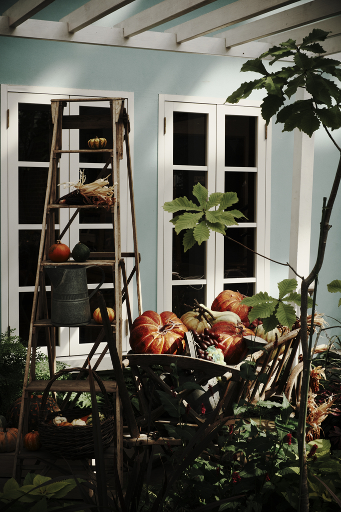 秋本番デンパークとハロウィン＃７