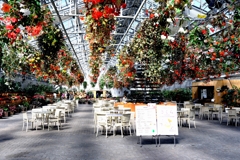 なばなの里・ベゴニアガーデン＃７