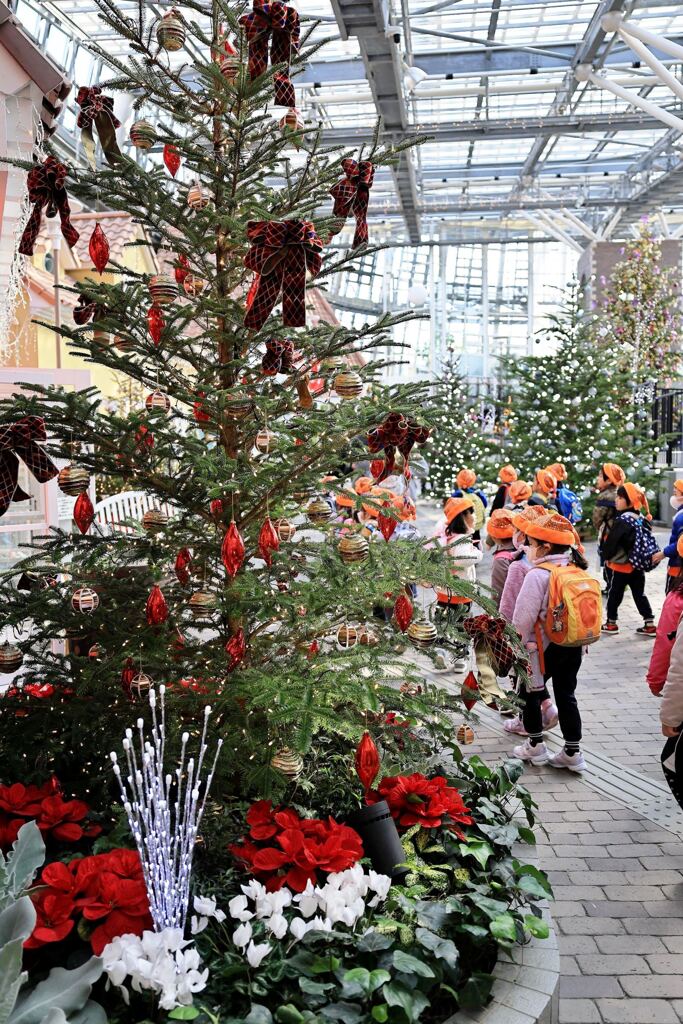 クリスマスムード満点のデンパーク＃４