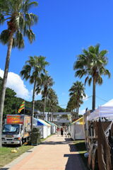 夏の吉良ワイキキビーチ#8