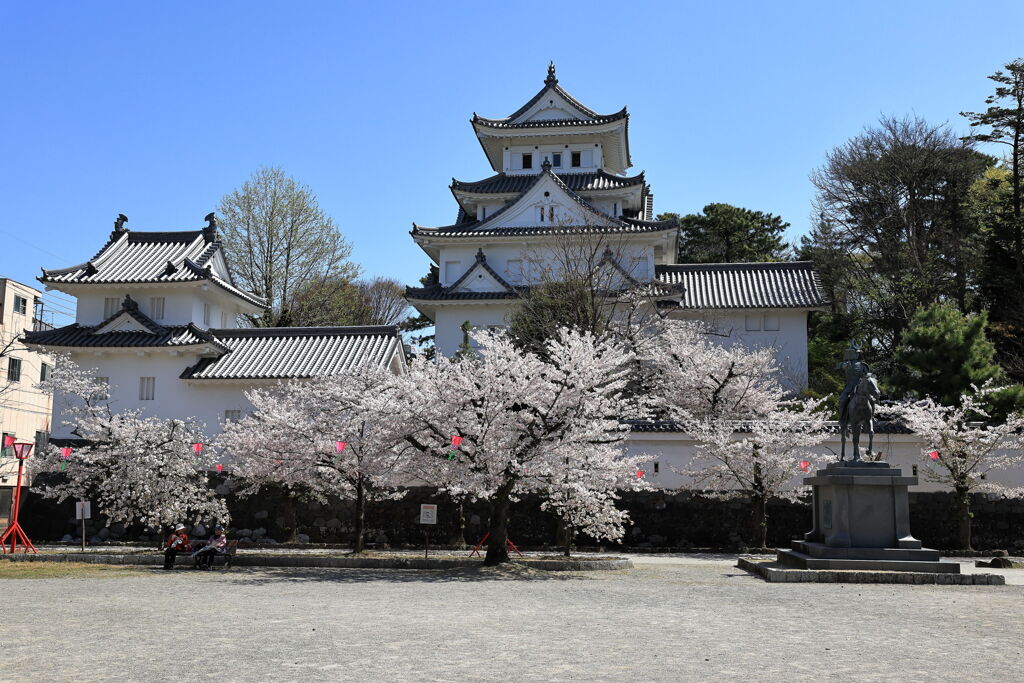 春爛漫の大垣公園と大垣城＃５