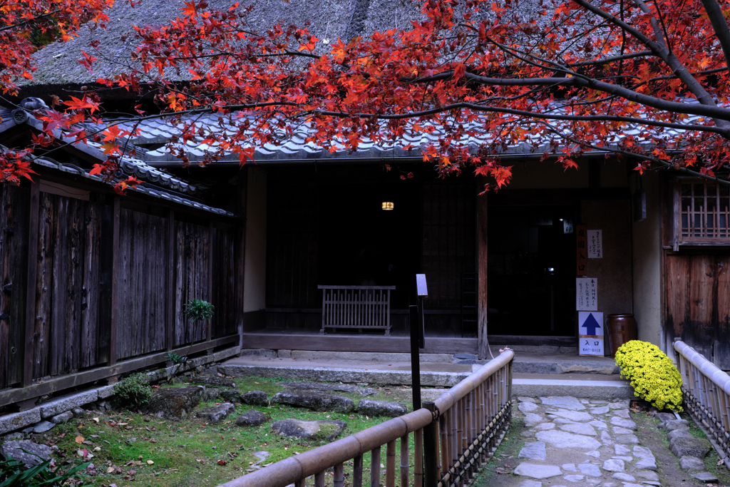 石の寺・教林坊の紅葉＃４