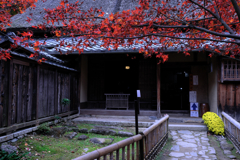 石の寺・教林坊の紅葉＃４