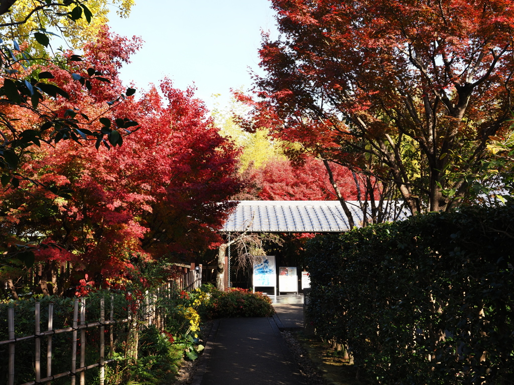 京都風情タップリ丈山苑＃４