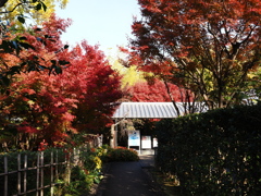 京都風情タップリ丈山苑#4