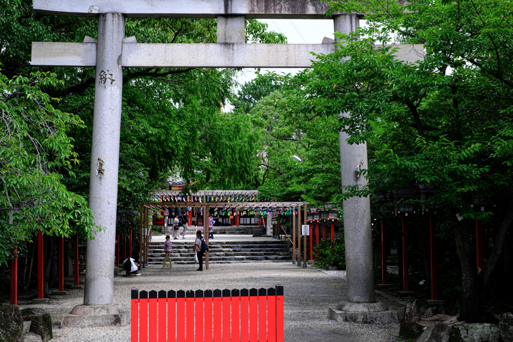 市原稲荷神社の風鈴情景＃１