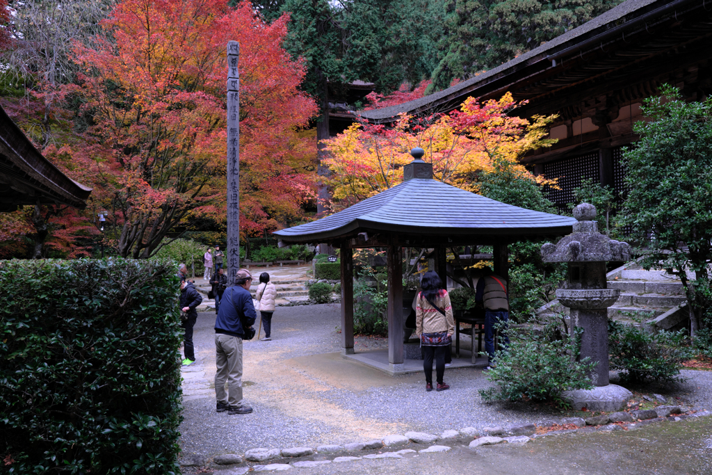 金剛輪寺の紅葉＃７