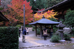 金剛輪寺の紅葉＃７