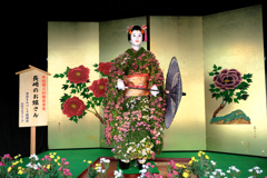 人形小路の菊まつり#8