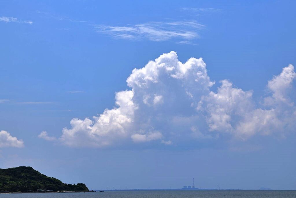 南国風情漂う白谷海浜公園＃１０