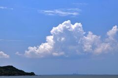 南国風情漂う白谷海浜公園＃１０