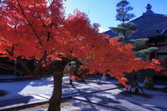 地元のお寺で紅葉狩り＃３