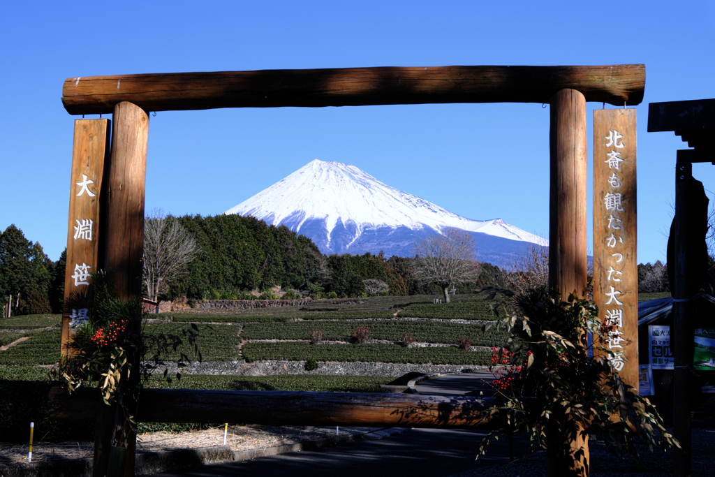 新春恒例の富士山撮影＃１
