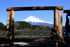 新春恒例の富士山撮影＃１