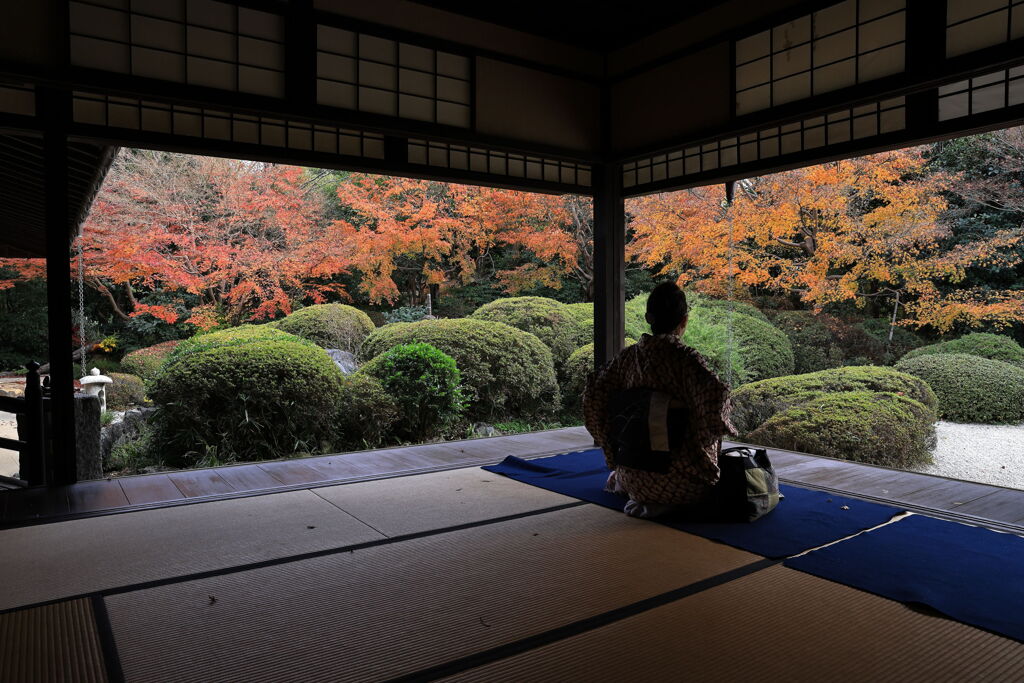 今シーズンラストの紅葉撮影＃１２