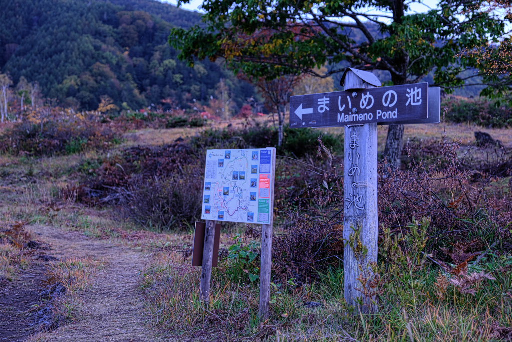 乗鞍高原で紅葉撮影＃１