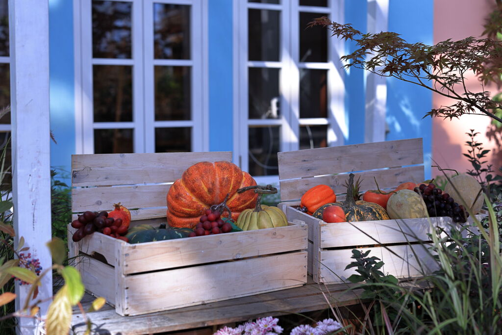 デンパークのハロウィン＃６