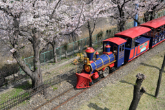 明石公園のサクラとおとぎ列車＃５