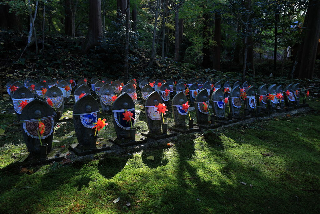 金剛輪寺の紅葉＃８