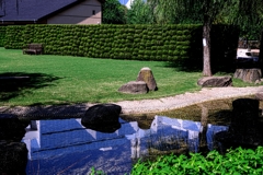 久し振りにJERAパークへ#10