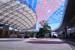 ２年振りのカリアンブレラ＃８