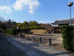 西尾歴史公園の紅葉#1