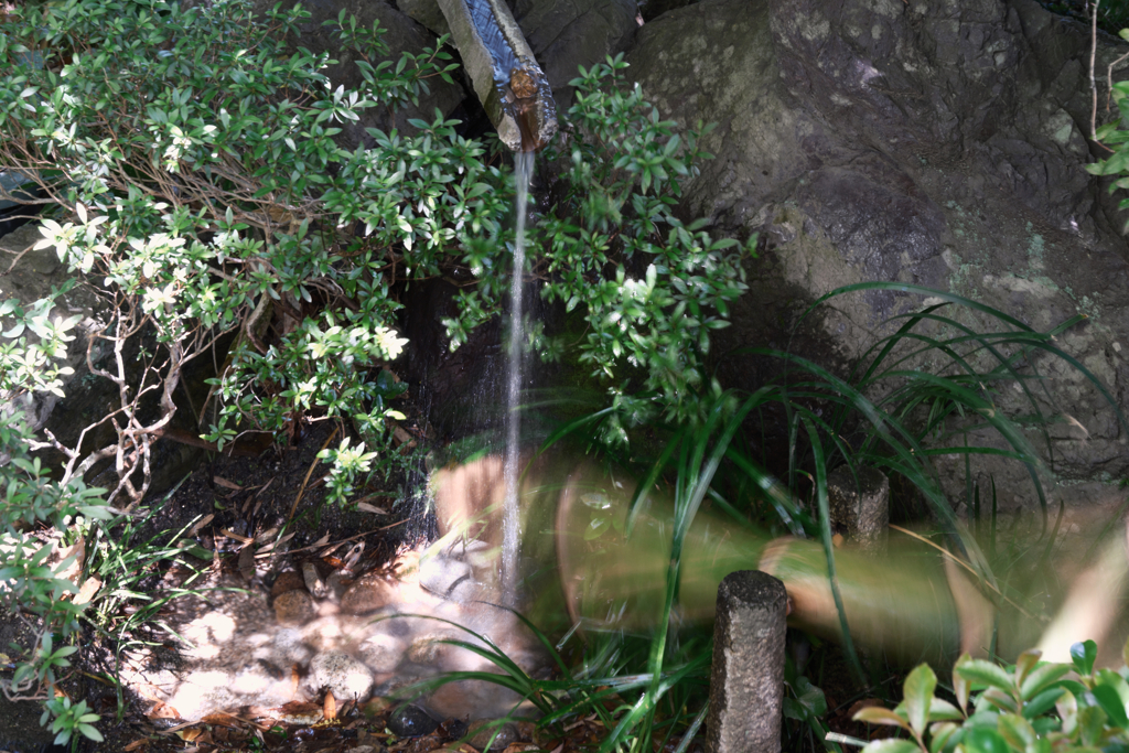 新緑眩しい丈山苑（Part2）＃１