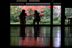 秋深し丈山苑も秋本番#6