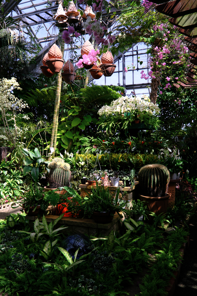 観賞用温室＃１