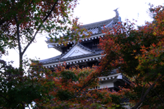 西尾歴史公園＆尚古荘＃４