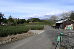 大渕笹場と富士川S.A #2