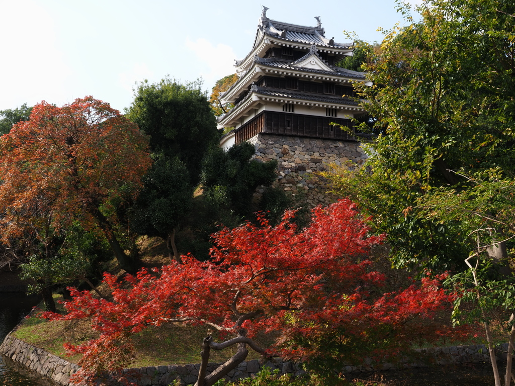 西尾歴史公園の紅葉＃９