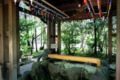 市原稲荷神社のカラー風鈴＃２