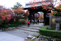 金剛輪寺の紅葉＃１