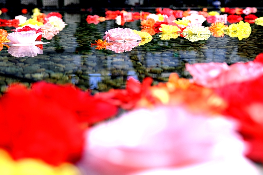 なばなの里・ベゴニアガーデン＃１０